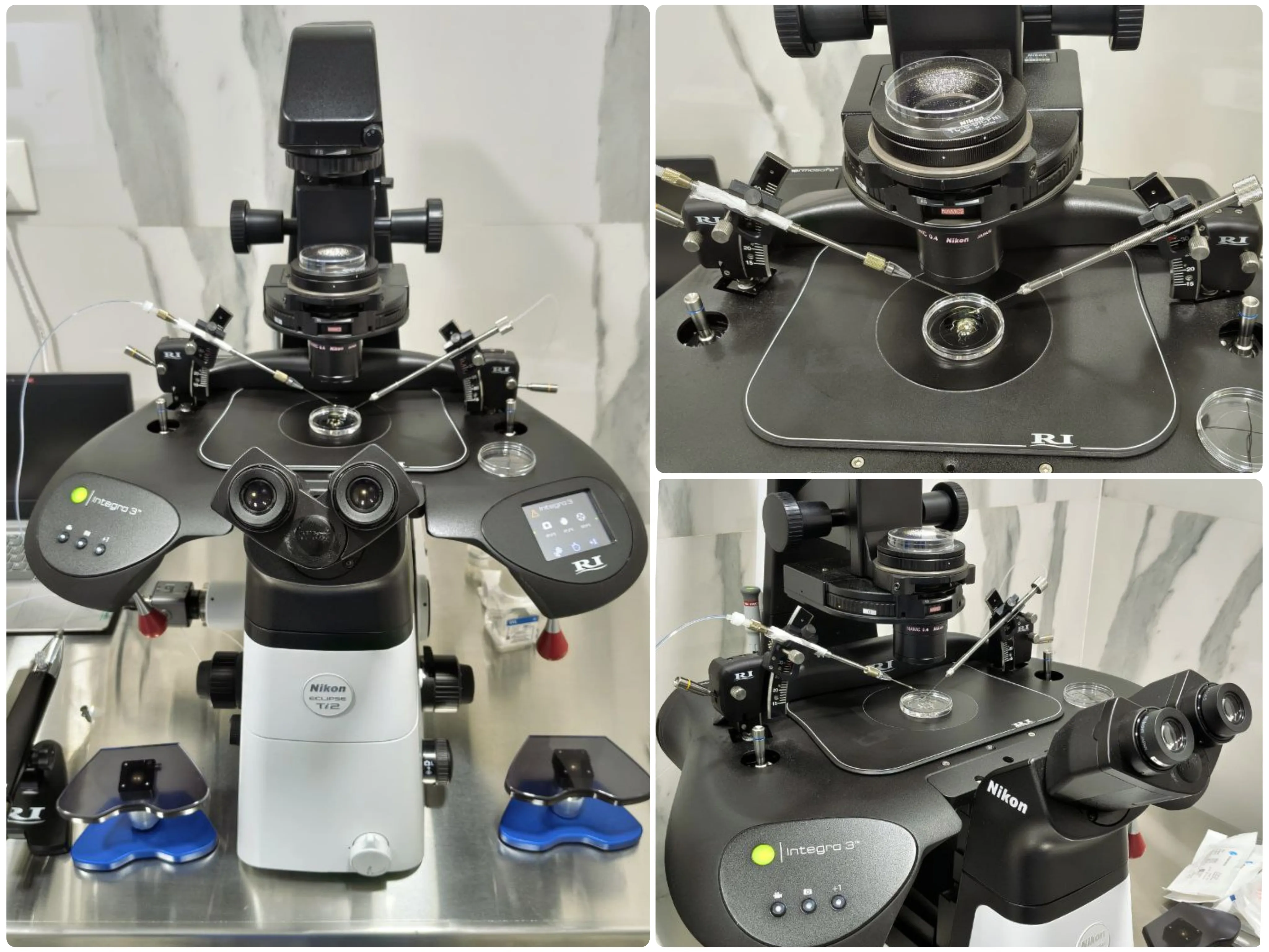 Best-ICSI-success-rates-at-AFIC-Andaman