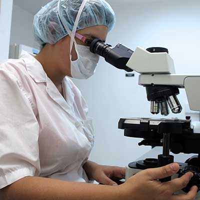 IVF Laboratory